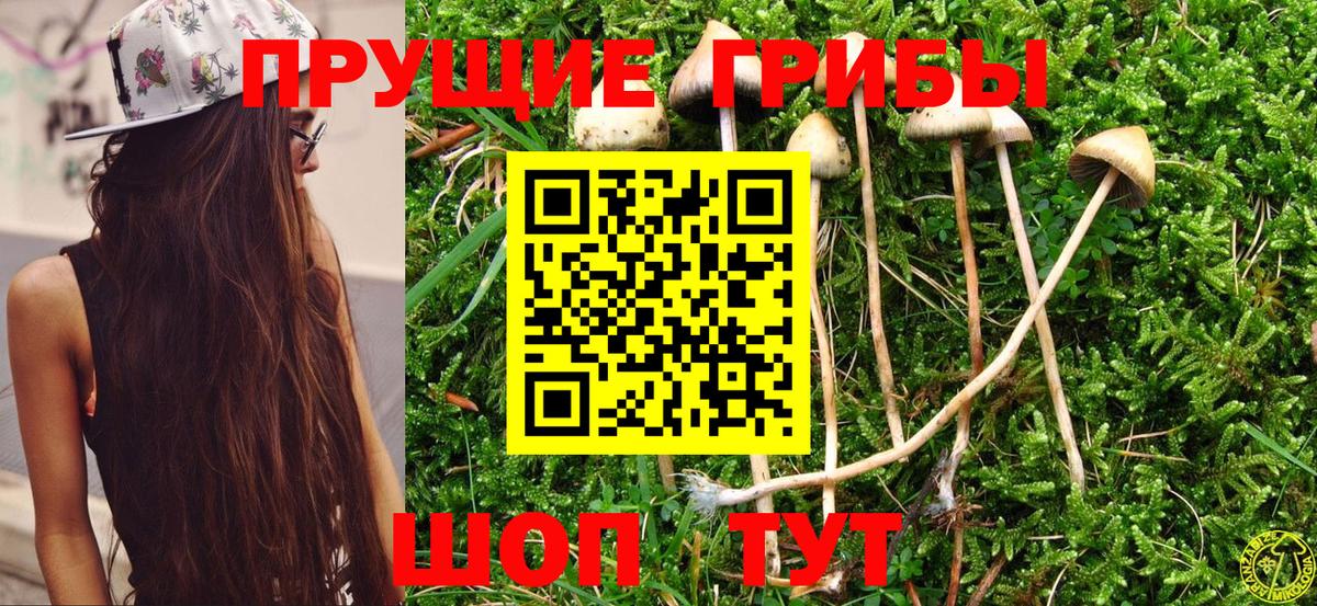 Галлюциногенные грибы ЛСД Нижний Тагил